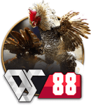 CG777 Sabong - Feel the Rush, Win Big!